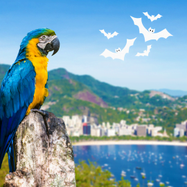 Brasil